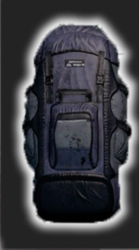 Sac Survivor Backpack